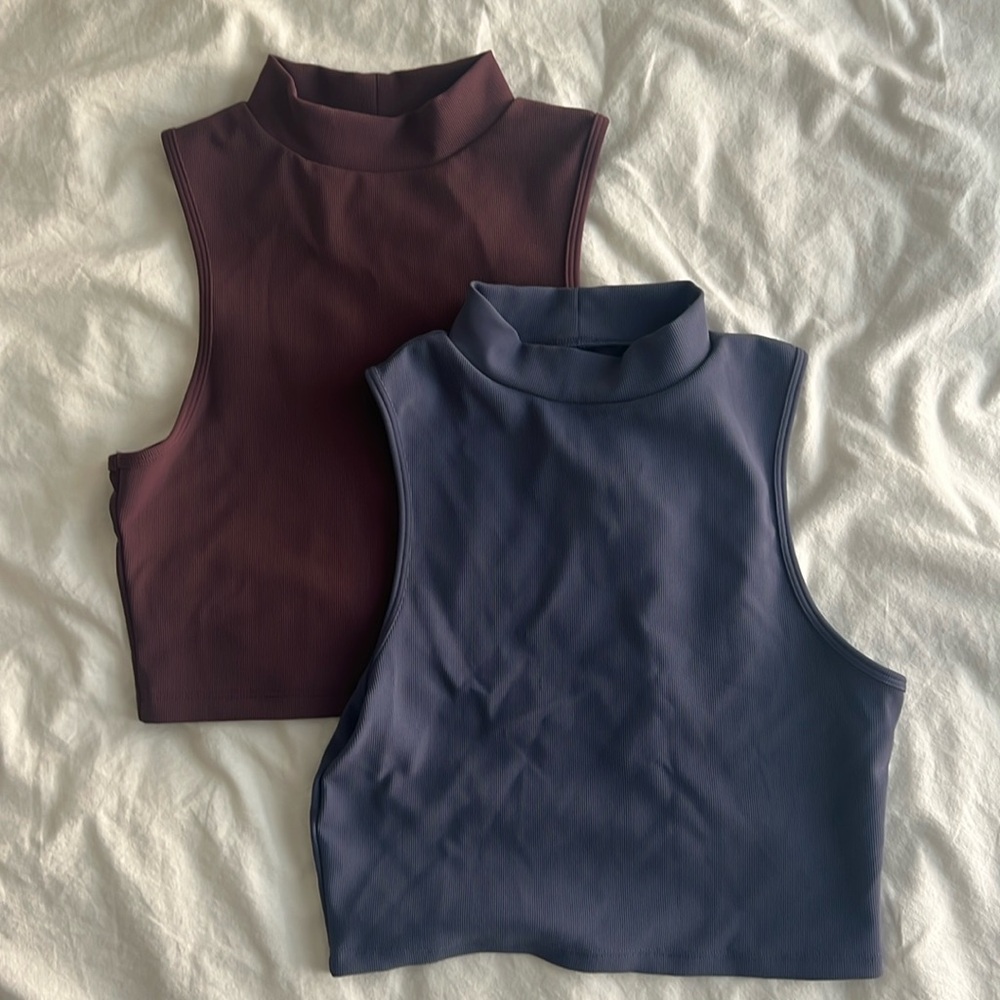 Paragon Crop Top (2)